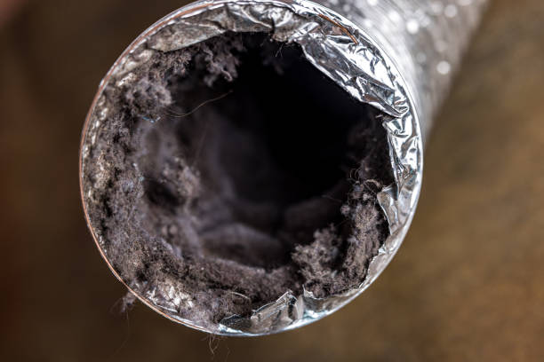 Home Air Vent Cleaning in KY